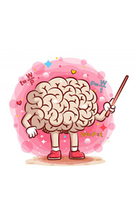 Know Your Brain 1 Meet The Brain